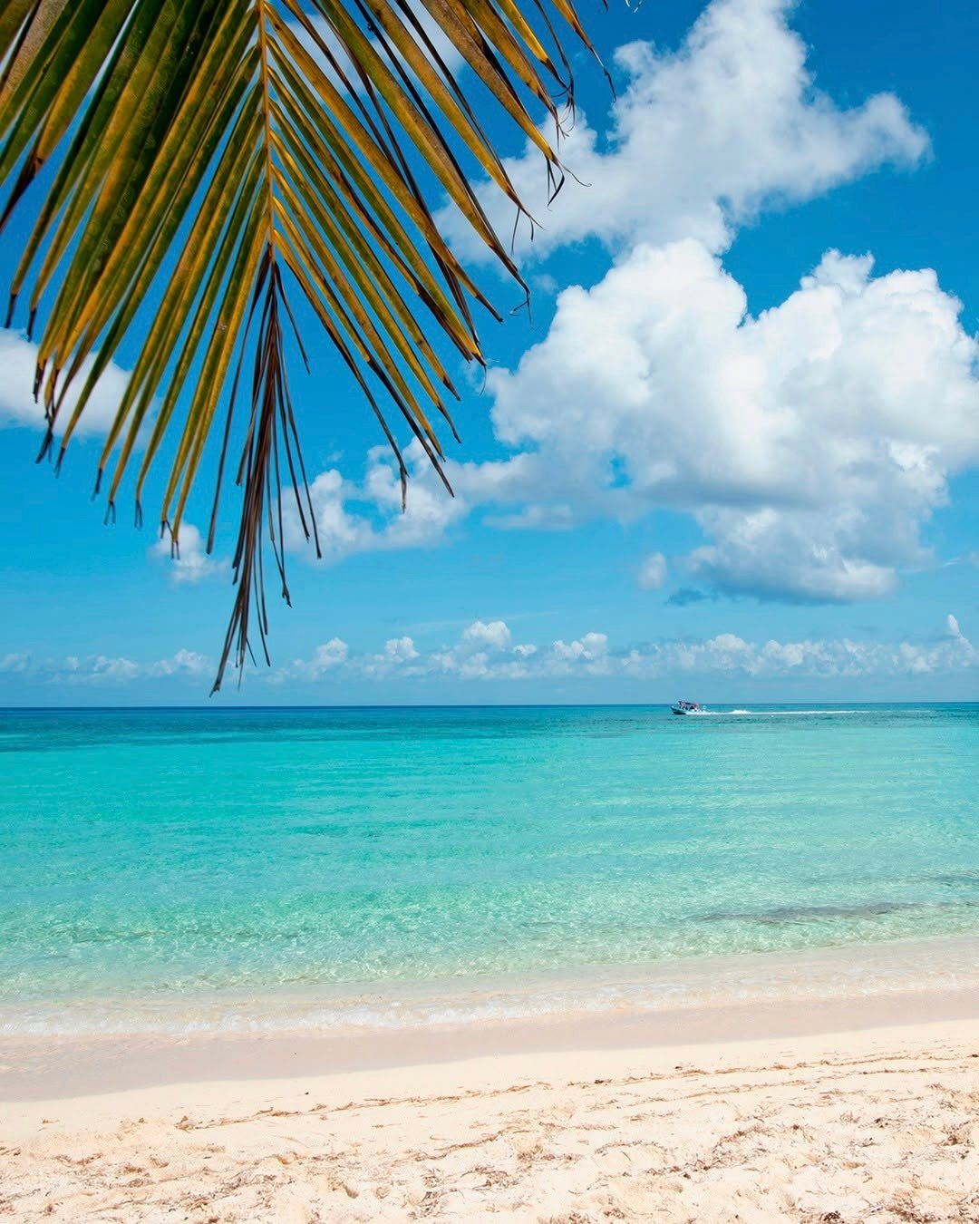 Playas en Isla Mujeres