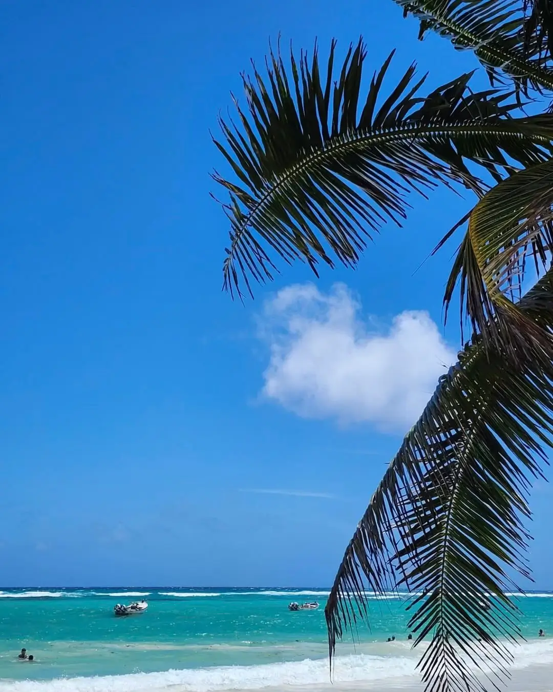 Playas en Playa del Carmen